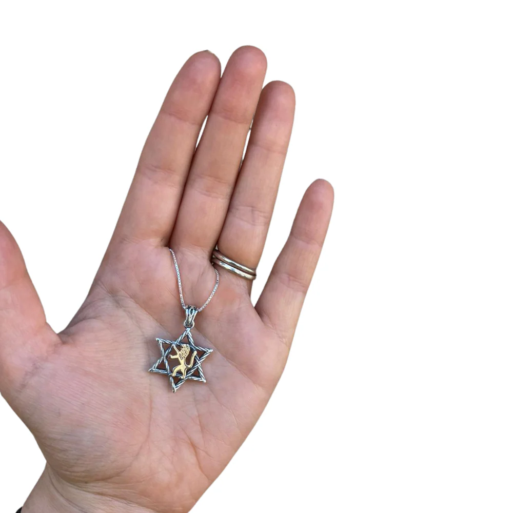 Lion of Judah & Star of David Necklace in 9K Gold and Silver - Image 8