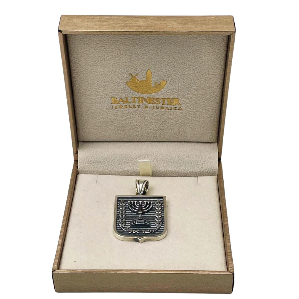 Emblem of Israel Pendant for Men in Silver - Large - Image 6
