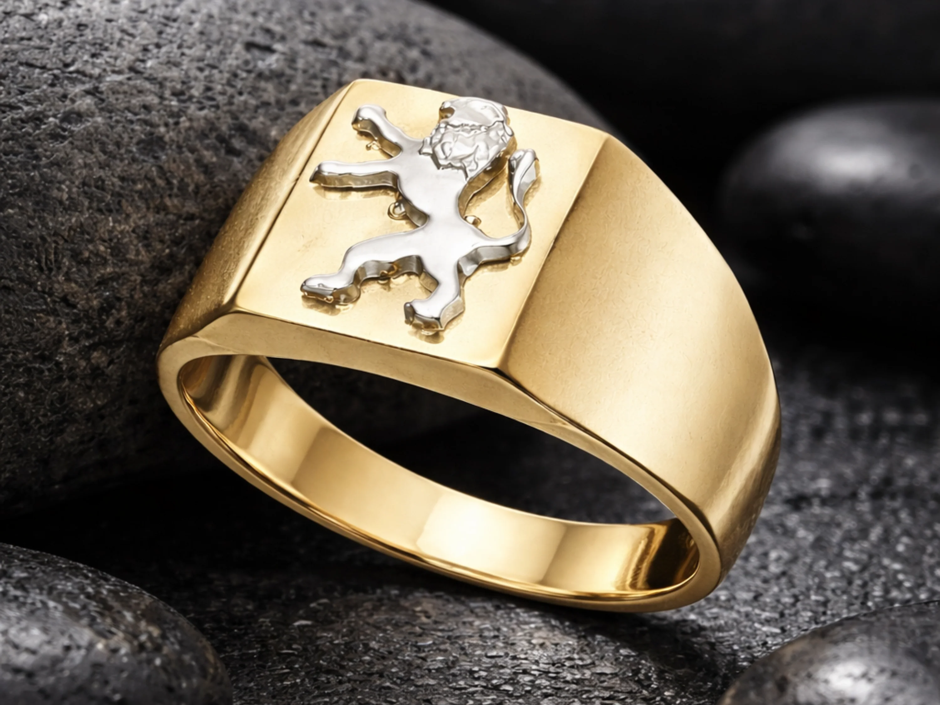 Lion of Judah Signet Ring in 14K Two Tone Gold - Image 11