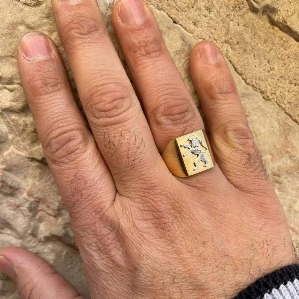 Lion of Judah Signet Ring in 14K Two Tone Gold - Image 5